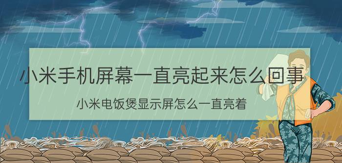 小米手机屏幕一直亮起来怎么回事 小米电饭煲显示屏怎么一直亮着？